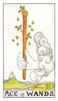 塔羅占卜：未來一個月的工作運勢會怎樣？
