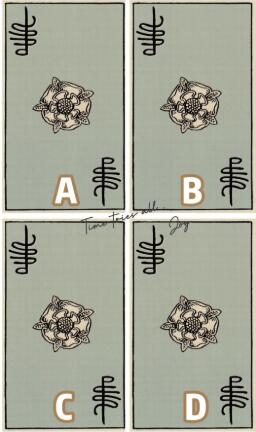 塔羅占卜未來老公的職業