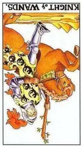 塔羅測試下一段感情會遇到真愛嗎